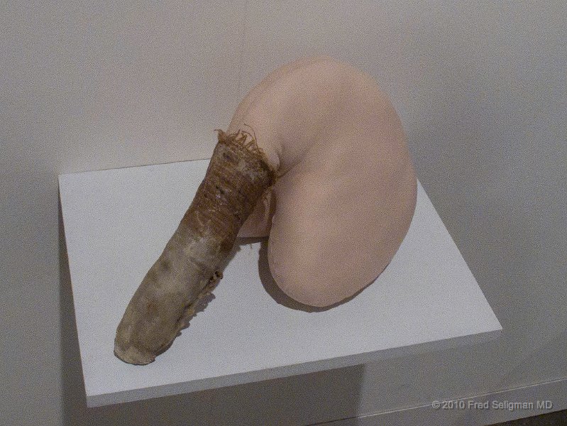 20101205_164951 G11.jpg - Art Basel 2010